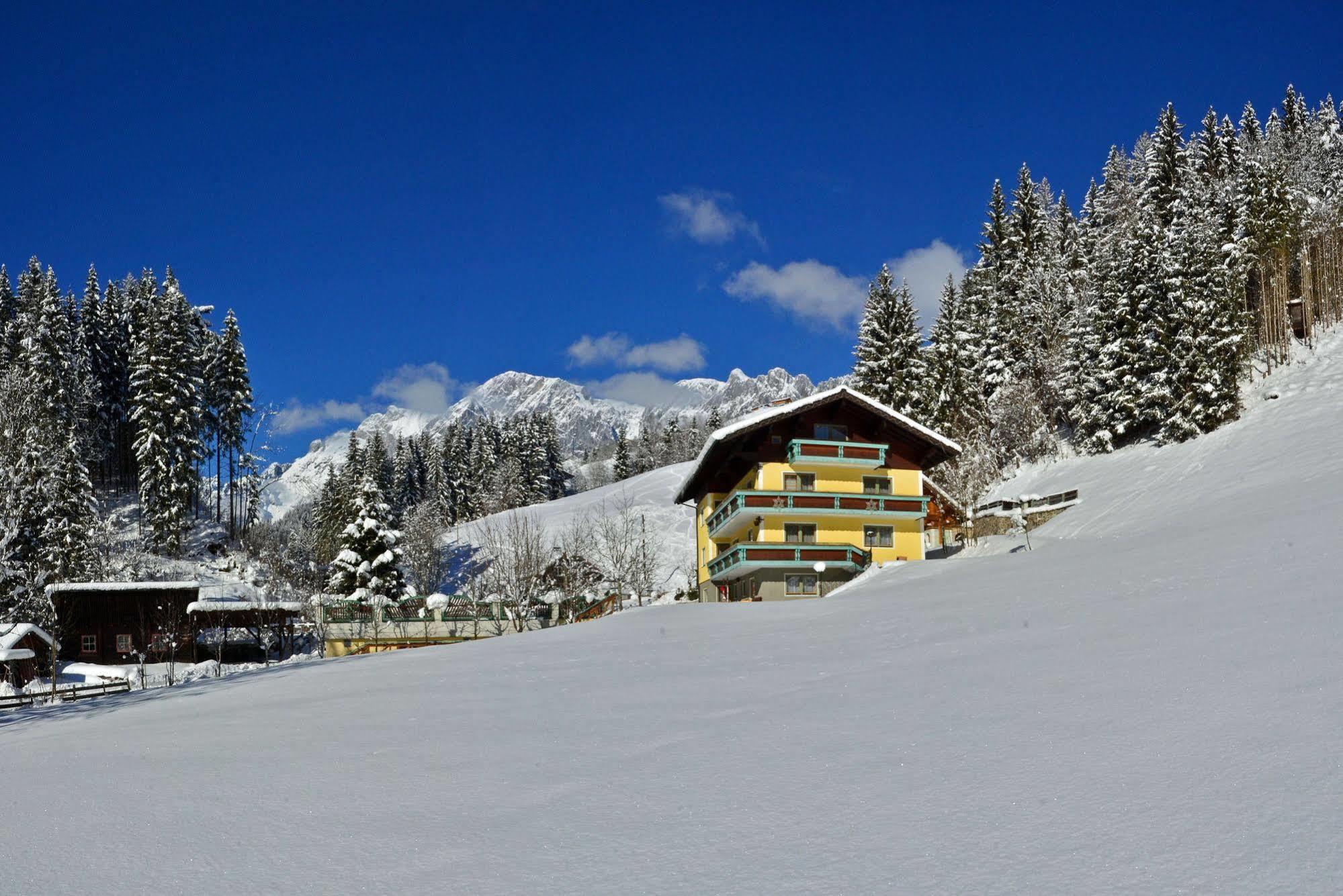 Haus Elisabeth Bed and Breakfast Mühlbach am Hochkönig Eksteriør billede