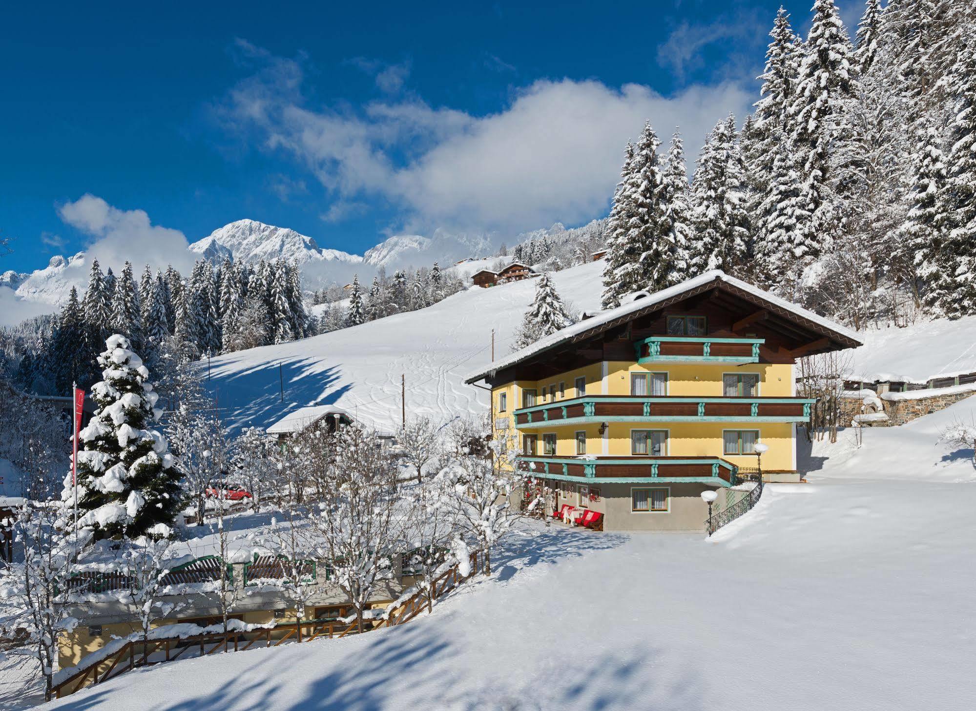 Haus Elisabeth Bed and Breakfast Mühlbach am Hochkönig Eksteriør billede