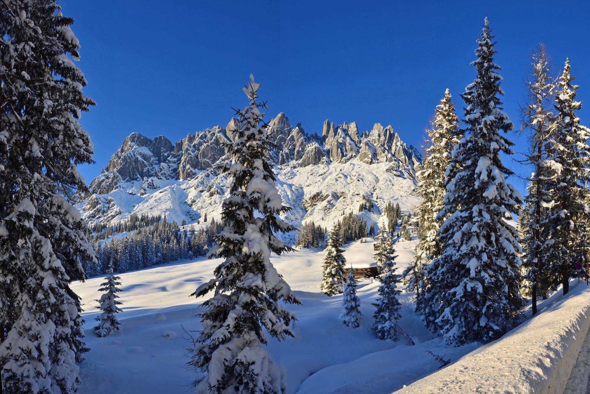Haus Elisabeth Bed and Breakfast Mühlbach am Hochkönig Eksteriør billede