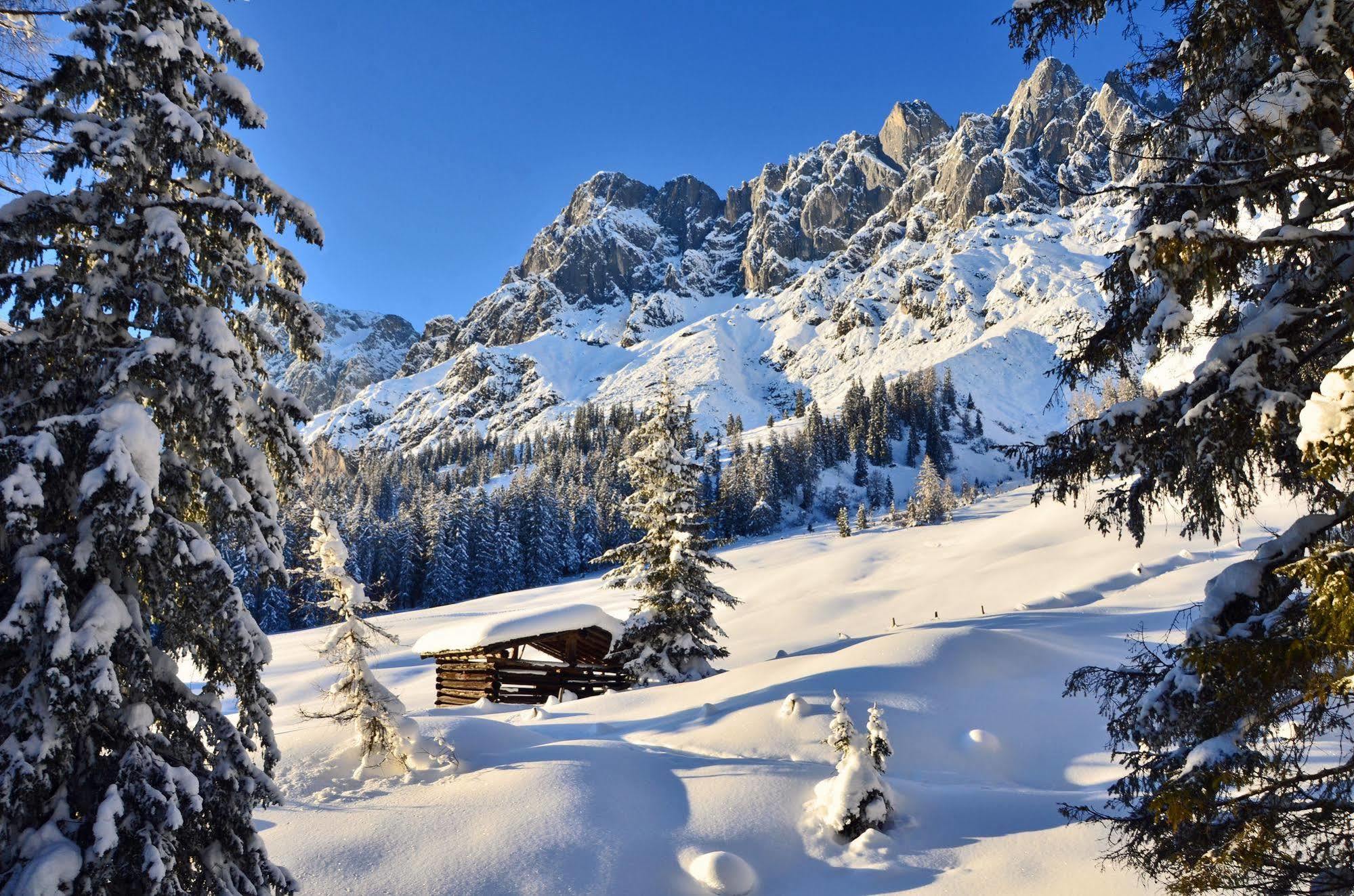 Haus Elisabeth Bed and Breakfast Mühlbach am Hochkönig Eksteriør billede